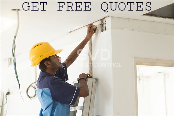 svd pest control mgroad in vijayawada - Photo No.7