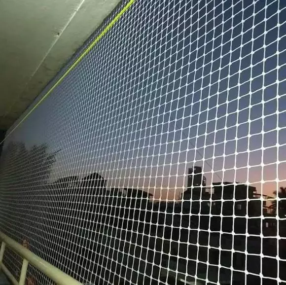 indian safety nets ramalingeswara nagar in vijayawada - Photo No.8