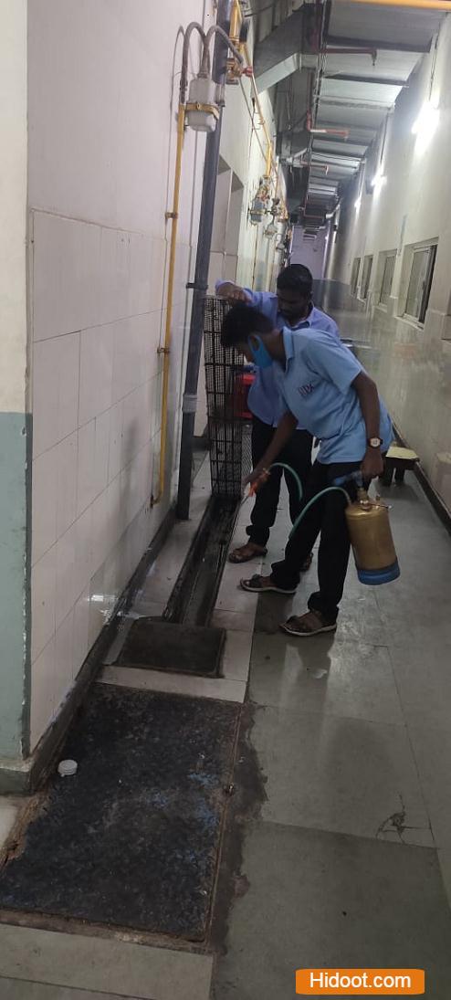 rani pest control services near gunadala in vijayawada - Photo No.4