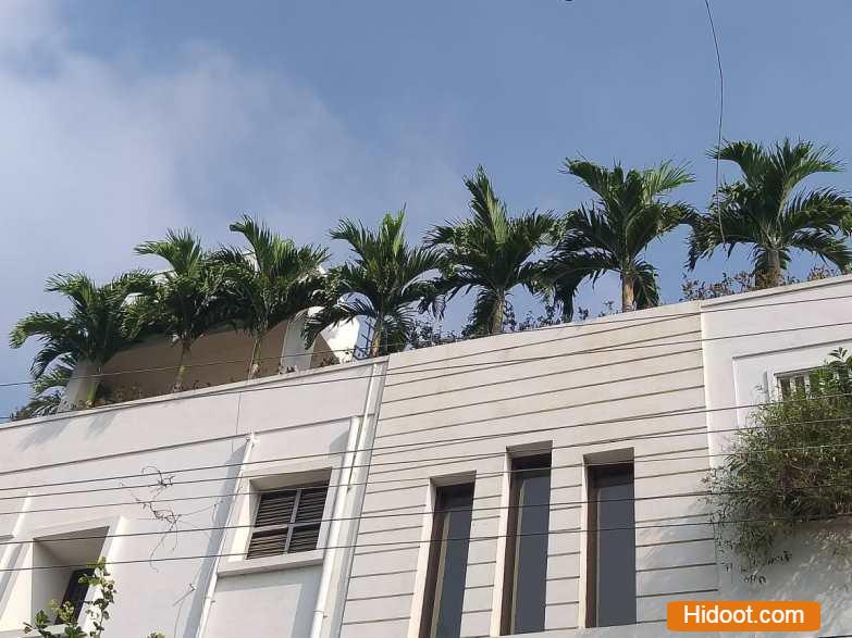 Standard Plant Shopee Landscaping Gardening Iti College In Vijayawada Andhra Pradesh - Photo No. 21