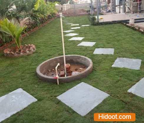 Standard Plant Shopee Landscaping Gardening Iti College In Vijayawada Andhra Pradesh - Photo No. 01