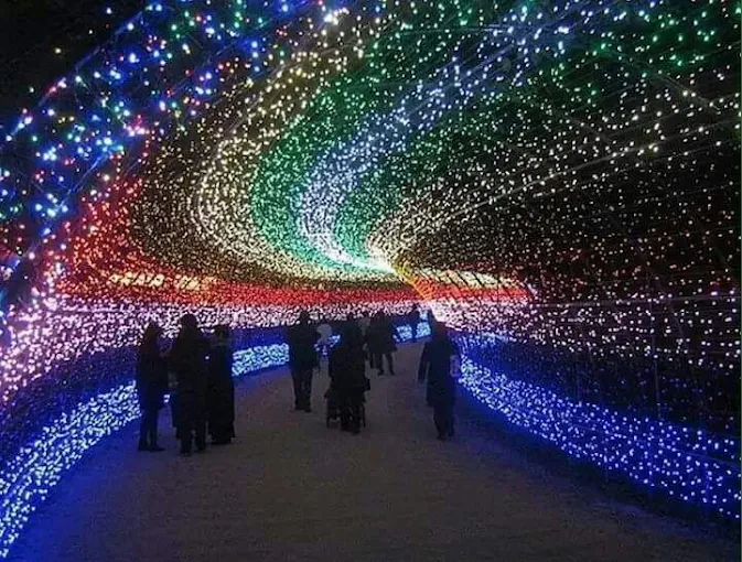 nani ultimate events patamata in vijayawada - Photo No.28