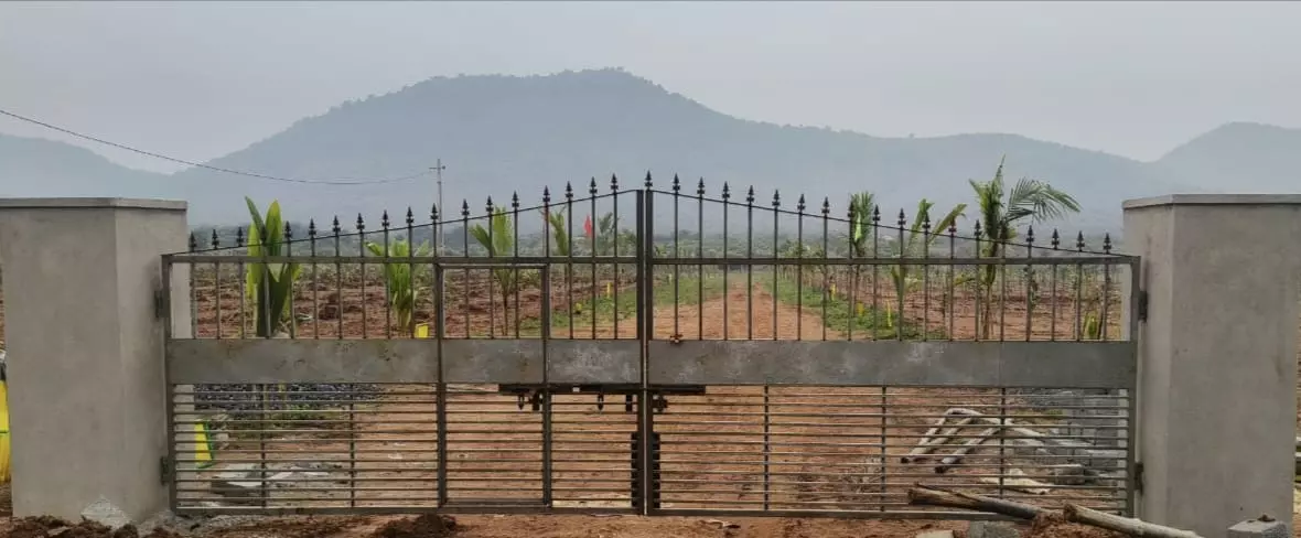 viswasri projects and agro farms pvt ltd moghalarajpuram in vijayawada - Photo No.2