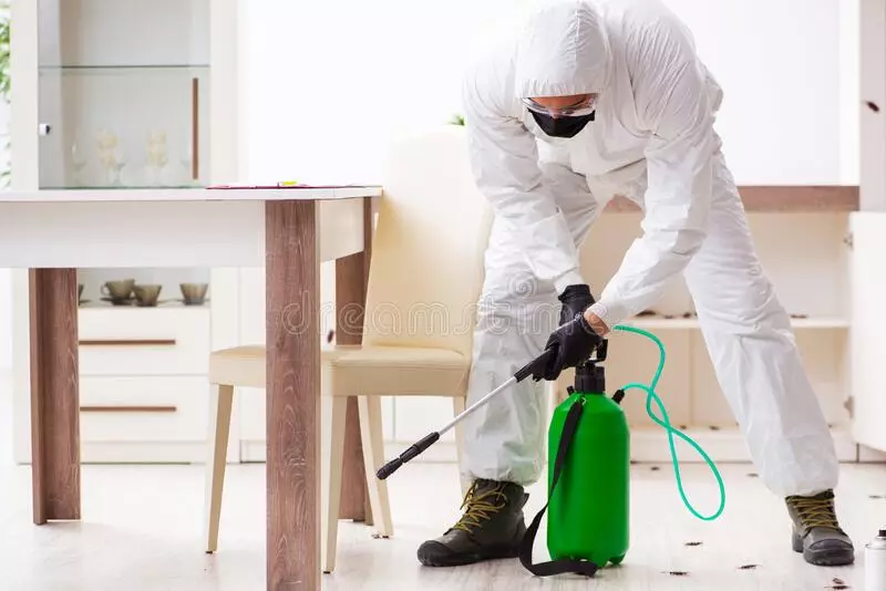 svs pest control services kothapet in vijayawada - Photo No.5