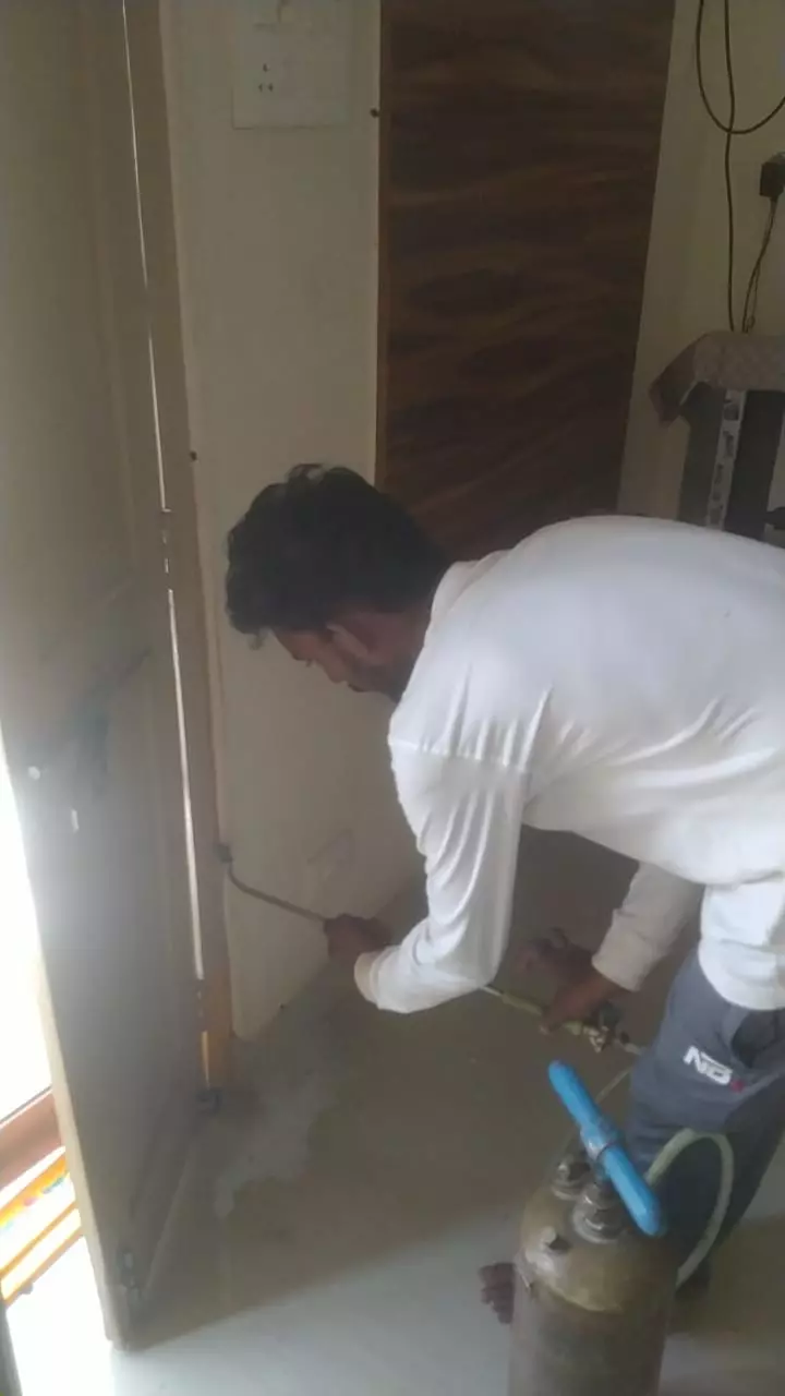 amaravathi pest control and water proofing ramavarappadu in vijayawada - Photo No.2