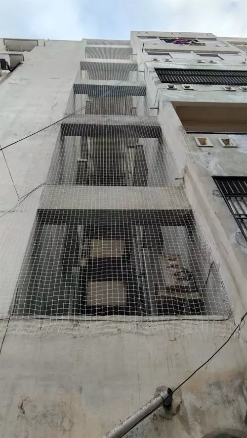 ms pigeon safety nets benz circle in vijayawada - Photo No.4