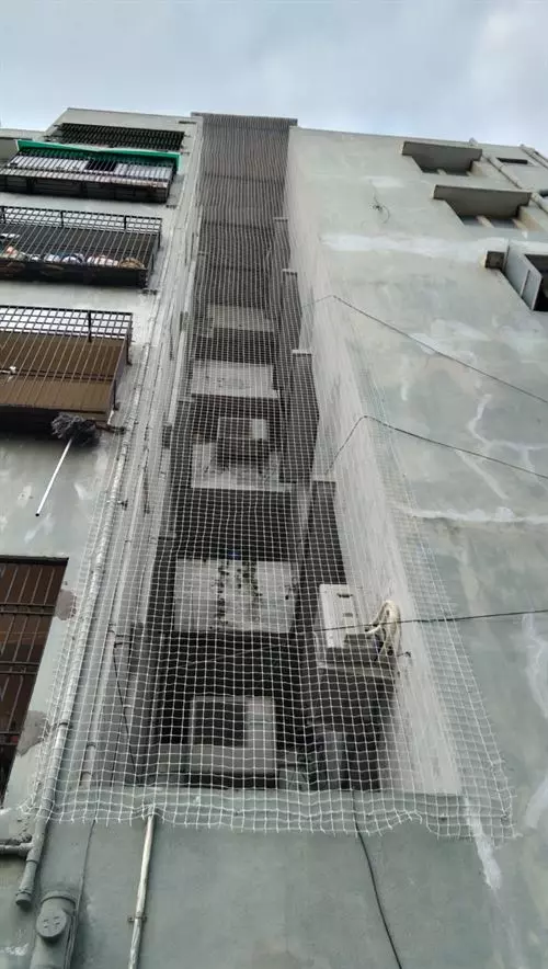 ms pigeon safety nets benz circle in vijayawada - Photo No.1