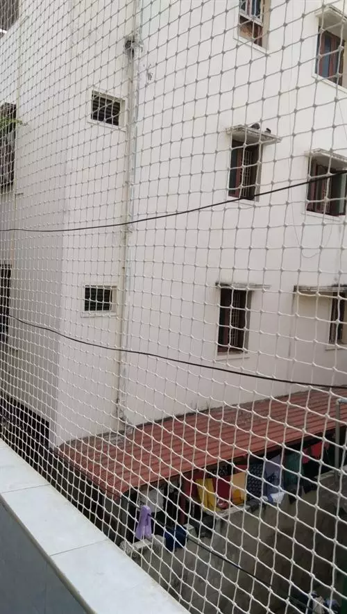 ms pigeon safety nets benz circle in vijayawada - Photo No.0