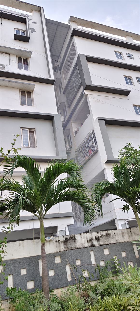 dhoni enterprises krishna lanka in vijayawada - Photo No.23