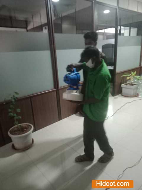 Gpm Pest Control Service Pest Control Services Near Yanamalakuduru In Vijayawada - Photo No. 41