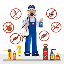 kbr pest control labbipet in vijayawada - Photo No.20