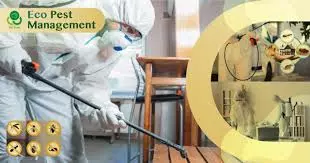 kbr pest control labbipet in vijayawada - Photo No.23