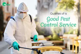 Kbr Pest Control Labbipet In Vijayawada - Photo No. 31