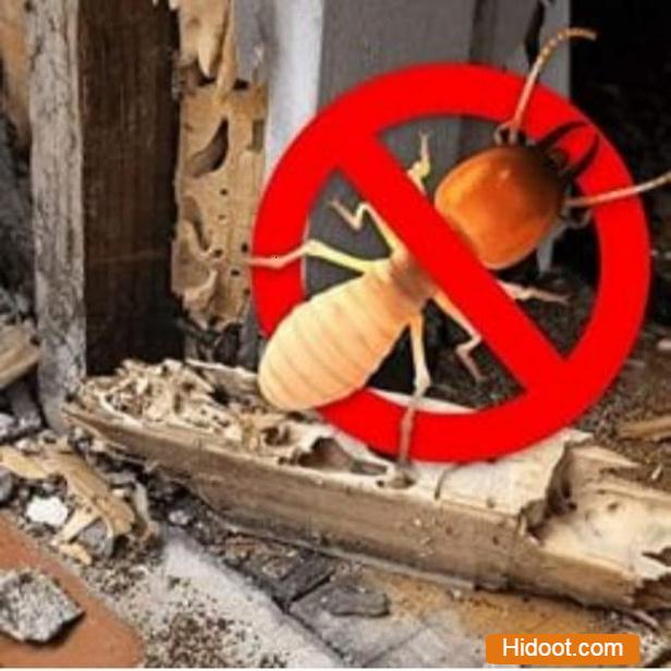 Visakha Pest Control Visalakshinagar In Visakhapatnam - Photo No. 21