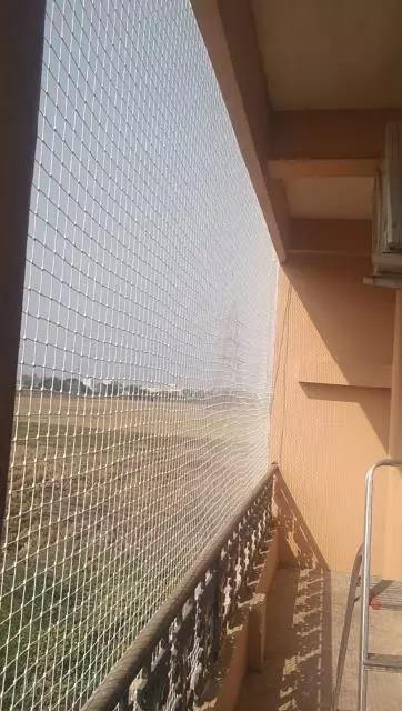 Nani Pigeon Safety Nets Bus Stand In Visakhapatnam - Photo No. 41