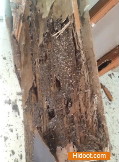 Santosh Pest Control Service Setammapeta In Visakhapatnam - Photo No. 41