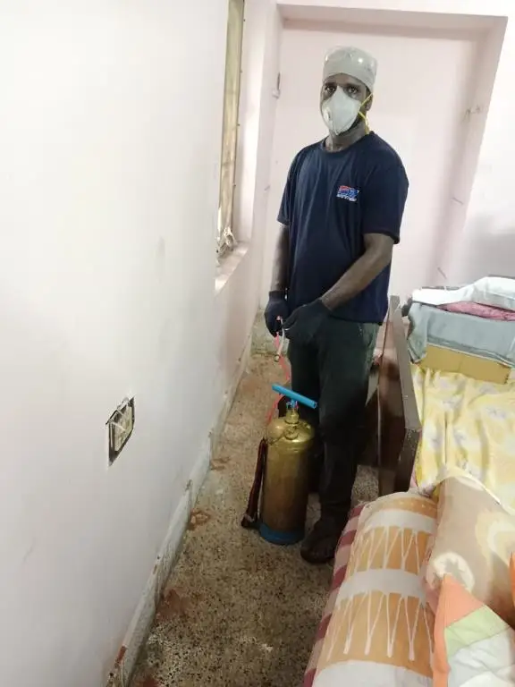 Sri Simhadri Pest Control Gopalapatnam In Visakhapatnam - Photo No. 31