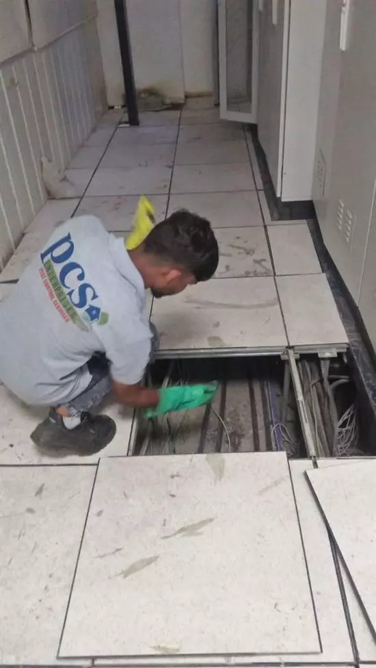 Pcs Enterprises Pest Control Services Mvp Colony In Visakhapatnam Vizag - Photo No. 81