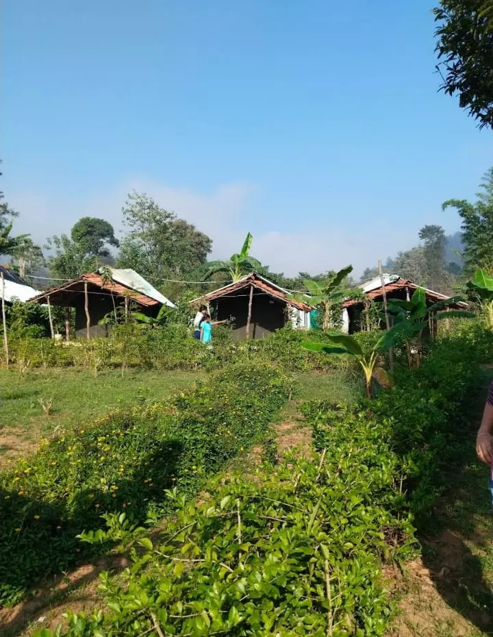 Vizag Car Rentals And Tourism Gangavaram In Visakhapatnam - Photo No. 21