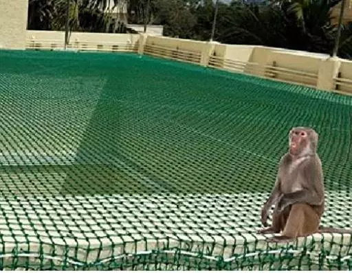 Rk Sports And Safety Nets Maddilapalem In Visakhapatnam - Photo No. 21