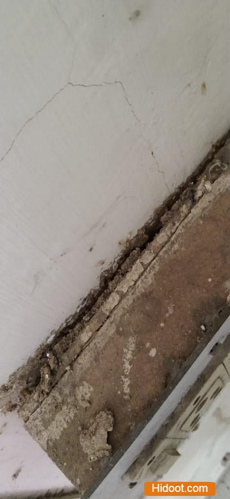 karthikeya pest control services near padmavathi nagar in vizianagaram - Photo No.4