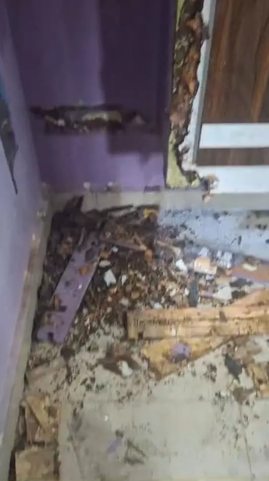 Hussain Pest Control Services Babametta Road In Vizianagaram - Photo No. 11