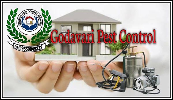 Godavari Pest Control Services Krishna Colony In Warangal - Photo No. 11