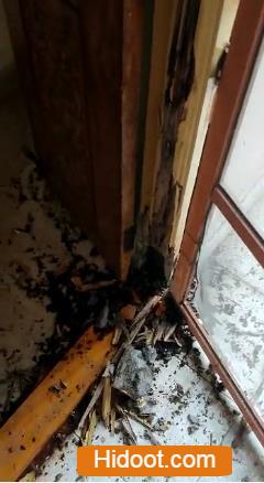 City Pest Control Services Hanamkonda In Warangal - Photo No. 31