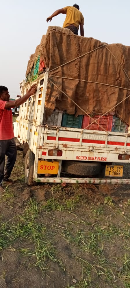manikanta packers and movers pochamma maidan in warangal - Photo No.8