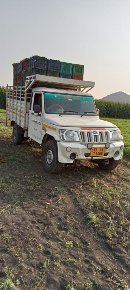 manikanta packers and movers pochamma maidan in warangal - Photo No.7