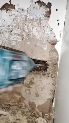 Eagle Pest Management Services Thimmapet In Warangal - Photo No. 21