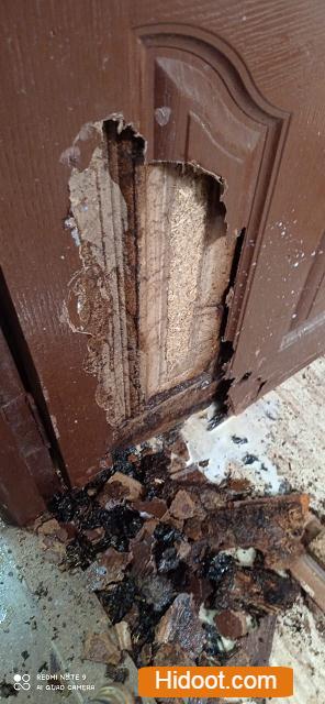 Safety Pest Control Services Near Hanamkonda In Warangal Telangana - Photo No. 41