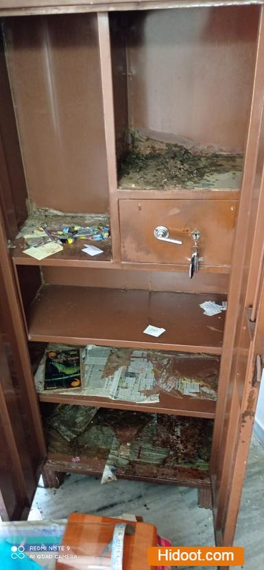 Safety Pest Control Services Near Hanamkonda In Warangal Telangana - Photo No. 31