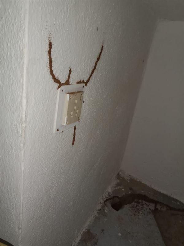 Telangana Pest Control Krishna Colony In Warangal - Photo No. 41