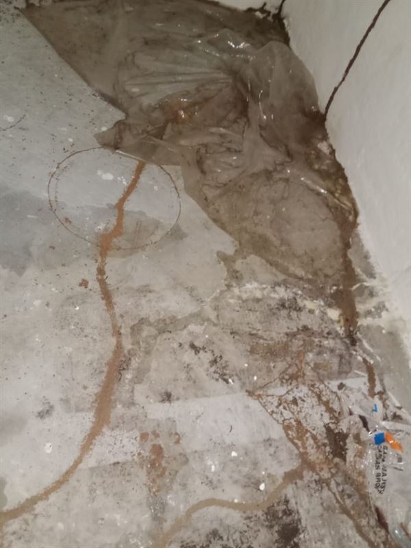 Telangana Pest Control Krishna Colony In Warangal - Photo No. 21