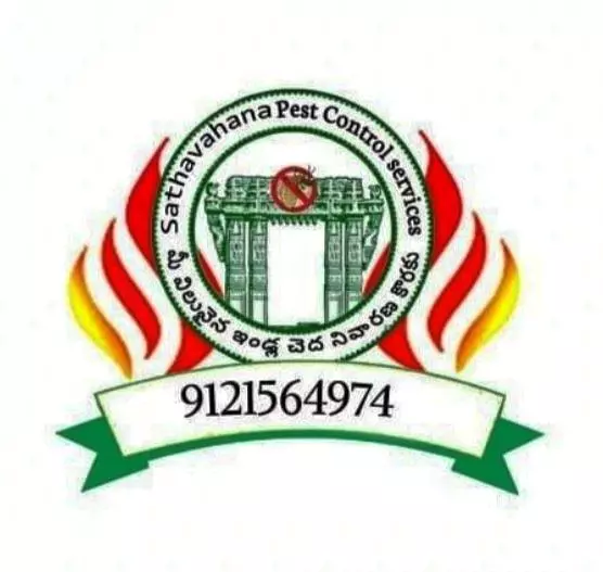 Sathavahana Pest Control Hunter Road In Warangal - Photo No. 01