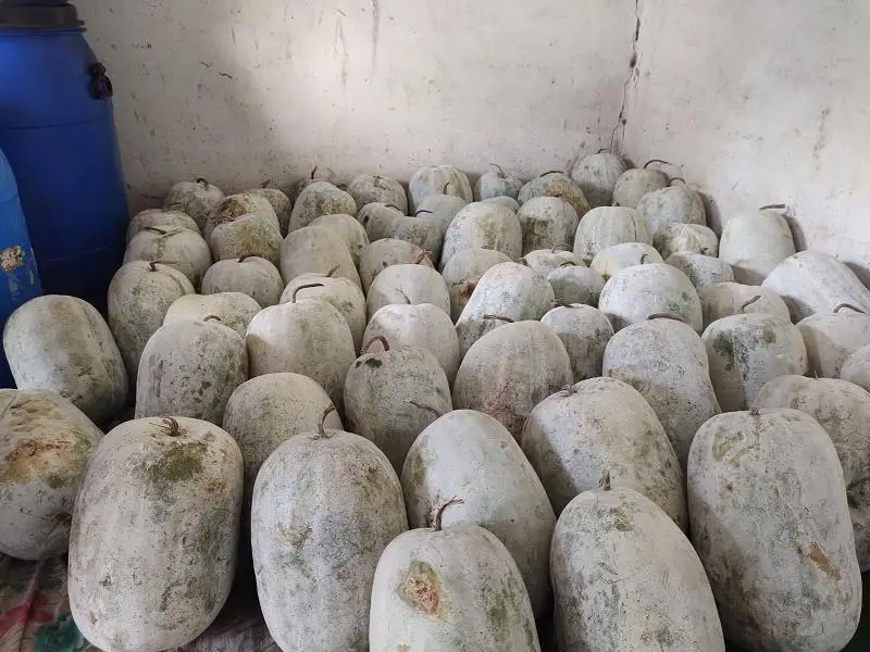 manna salva pickle home veg non veg tanuku west godavari ap - Photo No.38