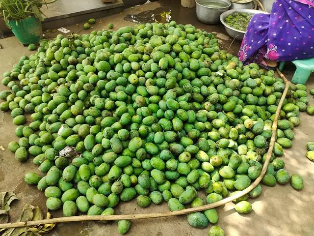 manna salva pickle home veg non veg tanuku west godavari ap - Photo No.22