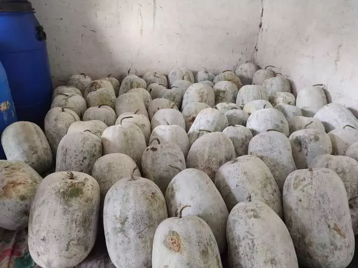 manna salva pickle home veg non veg tanuku west godavari ap - Photo No.14