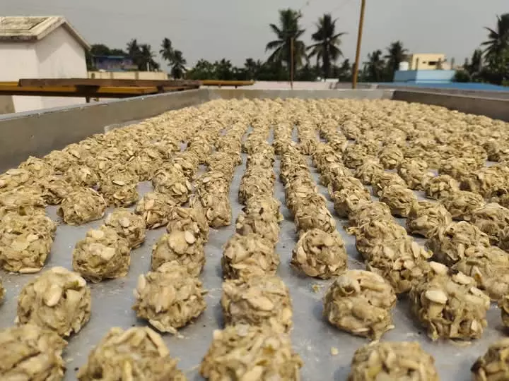 manna salva pickle home veg non veg tanuku west godavari ap - Photo No.6
